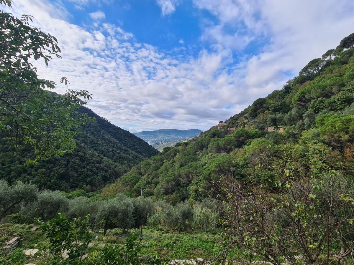 Castrusso Il Frantoio Di Rapallo By Portofinovacanze Εξωτερικό φωτογραφία